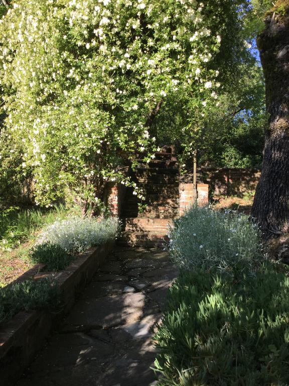 La Berchiera Apartment Ciggiano Екстериор снимка
